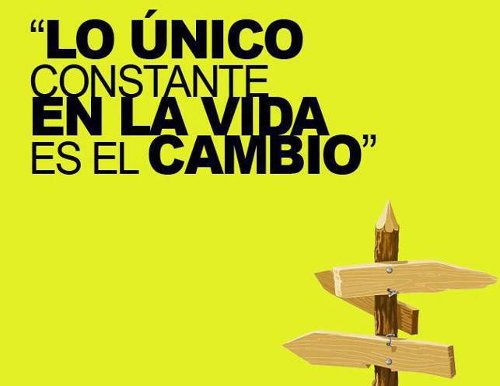 9 lic